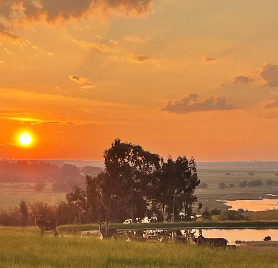 Holbank River * Ermelo